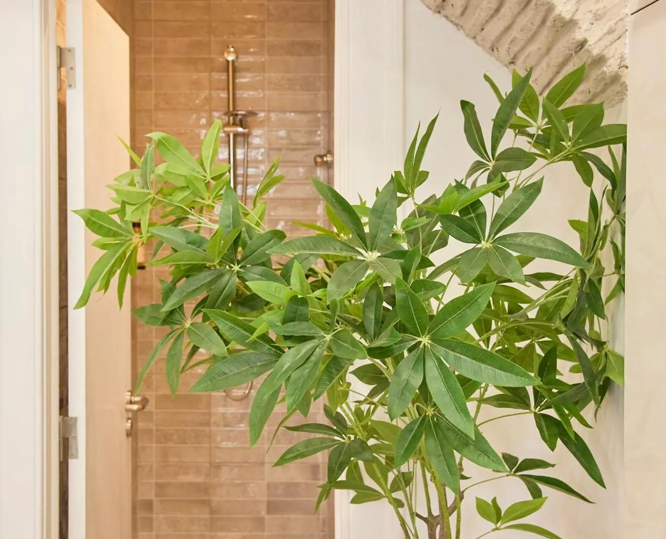 Alfama Cozy Corner By Msapartments Lisbon Portugal
